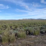Thumbnail of 5.00 Acres in Beautiful White Pine County with Spectacular Diamond Range Views & Adjacent to Alfalfa Fields in Eastern Nevada Photo 3