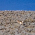 Thumbnail of Gorgeous 40.460 Acre Humboldt Riverfront Property with Conservation road access near Black Rock Desert Photo 13