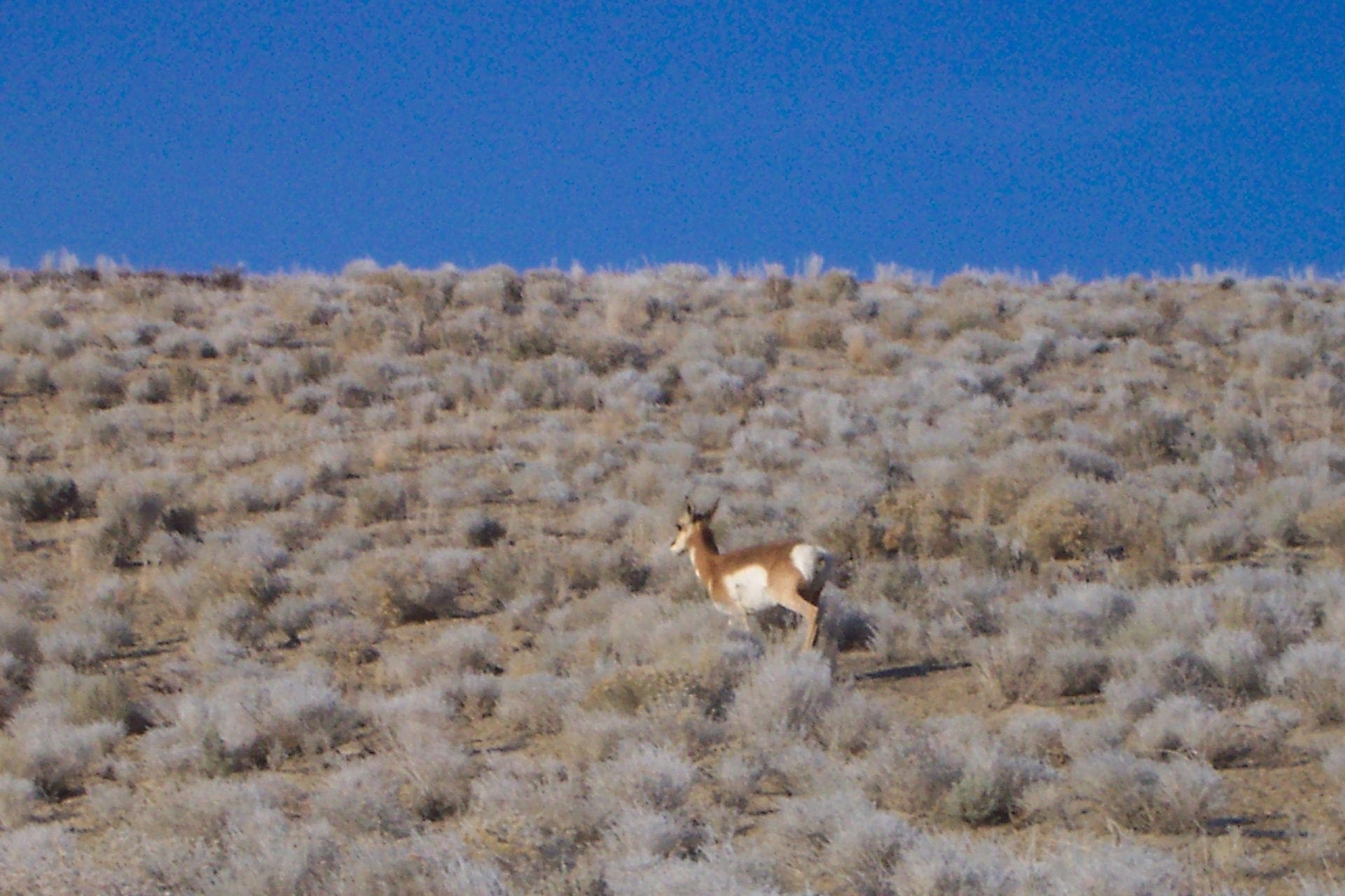 Gorgeous 40.460 Acre Humboldt Riverfront Property with Conservation road access near Black Rock Desert photo 13
