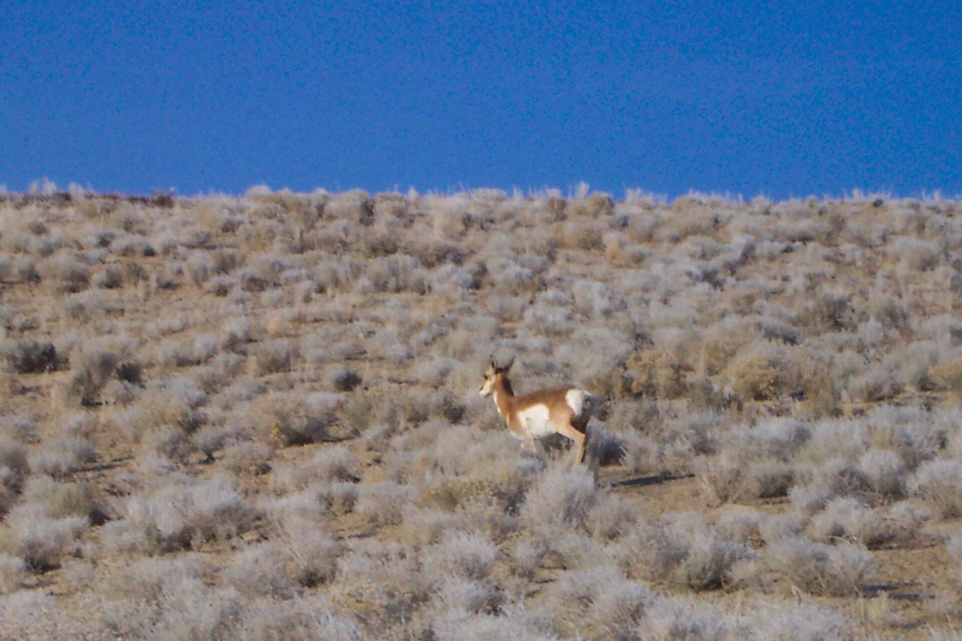 5.00 ACRES IN EASTERN OREGON LAND FOR SALE NEAR IDAHO AND