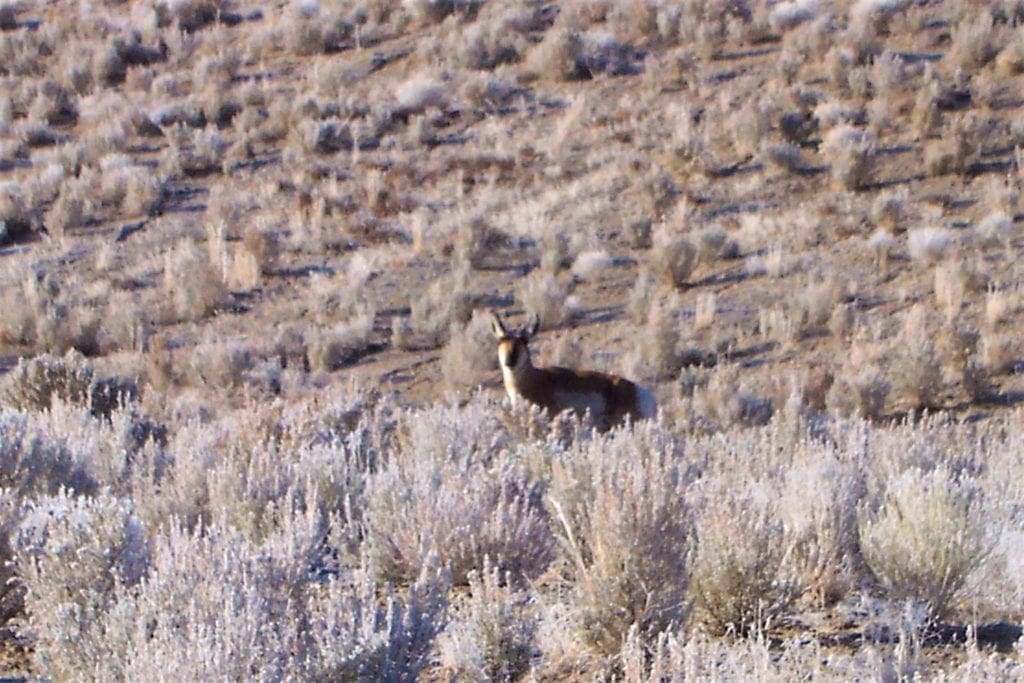 Large view of 57 Acre Utah Ranch Land near Idaho and Sawtooth Nat. Forest Photo 1