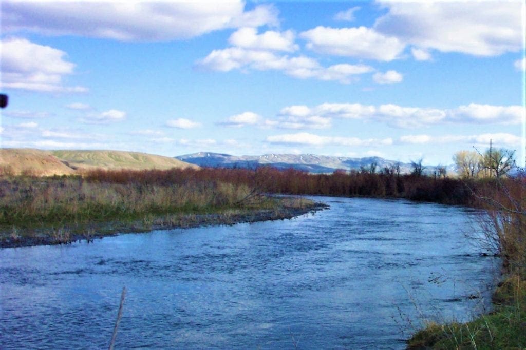 Large view of Gorgeous 40.460 Acre Humboldt Riverfront Property with Conservation road access near Black Rock Desert Photo 6