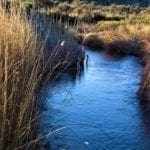 Thumbnail of Secluded 20.51 Acre Oregon Land! Water, Wildlife, TWO CREEKS Photo 1