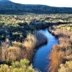 Thumbnail of Secluded 20.51 Acre Oregon Land! Water, Wildlife, TWO CREEKS Photo 2