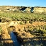 Thumbnail of Secluded 20.51 Acre Oregon Land! Water, Wildlife, TWO CREEKS Photo 3