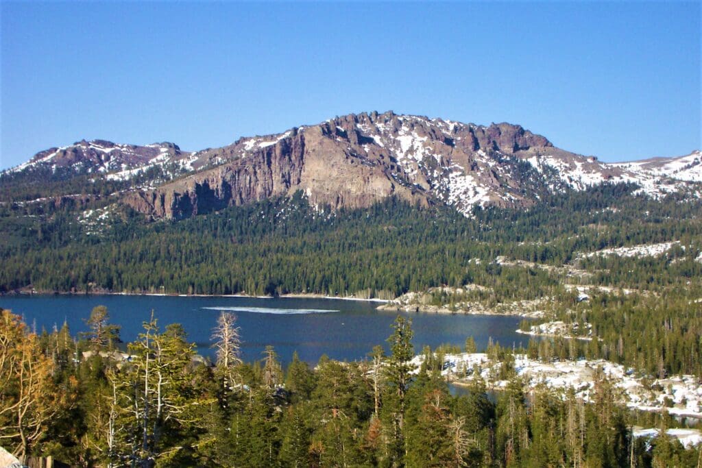 Large view of LOT IN BEAUTIFUL SHASTA COUNTY, CALIFORNIA NEAR THE TRINITY ALPS AND SHASTA LAKE ~ TREED Photo 1