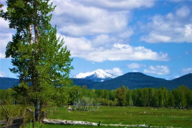4.70 ACRES~GORGEOUS OREGON RANCH LAND LOADED WITH OLD GROWTH TIMBER NEAR CALIFORNIA BORDER