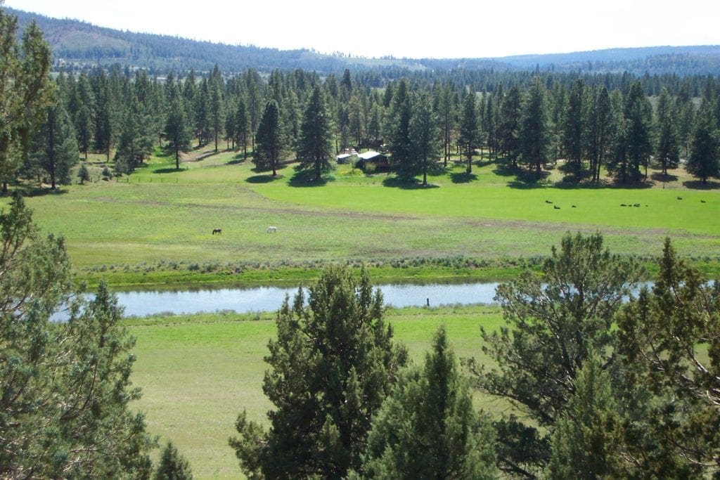Large view of Amazing Sprague River Valley Views! 1.67 Acres in Klamath County, Oregon ~ Treed, Road, Wild Horses! Photo 6