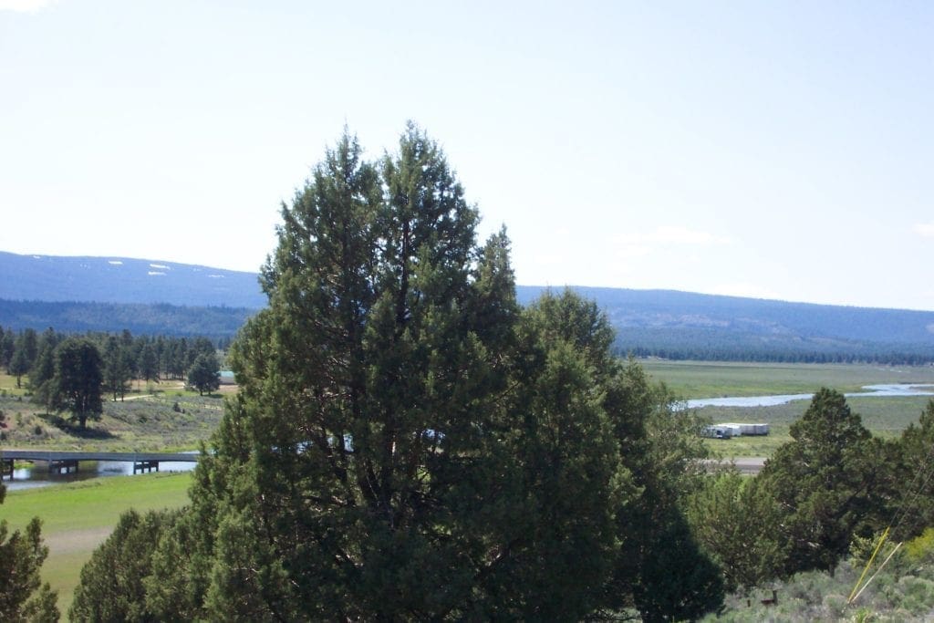 Large view of Amazing Sprague River Valley Views! 1.67 Acres in Klamath County, Oregon ~ Treed, Road, Wild Horses! Photo 14