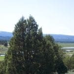 Thumbnail of Amazing Sprague River Valley Views! 1.67 Acres in Klamath County, Oregon ~ Treed, Road, Wild Horses! Photo 14