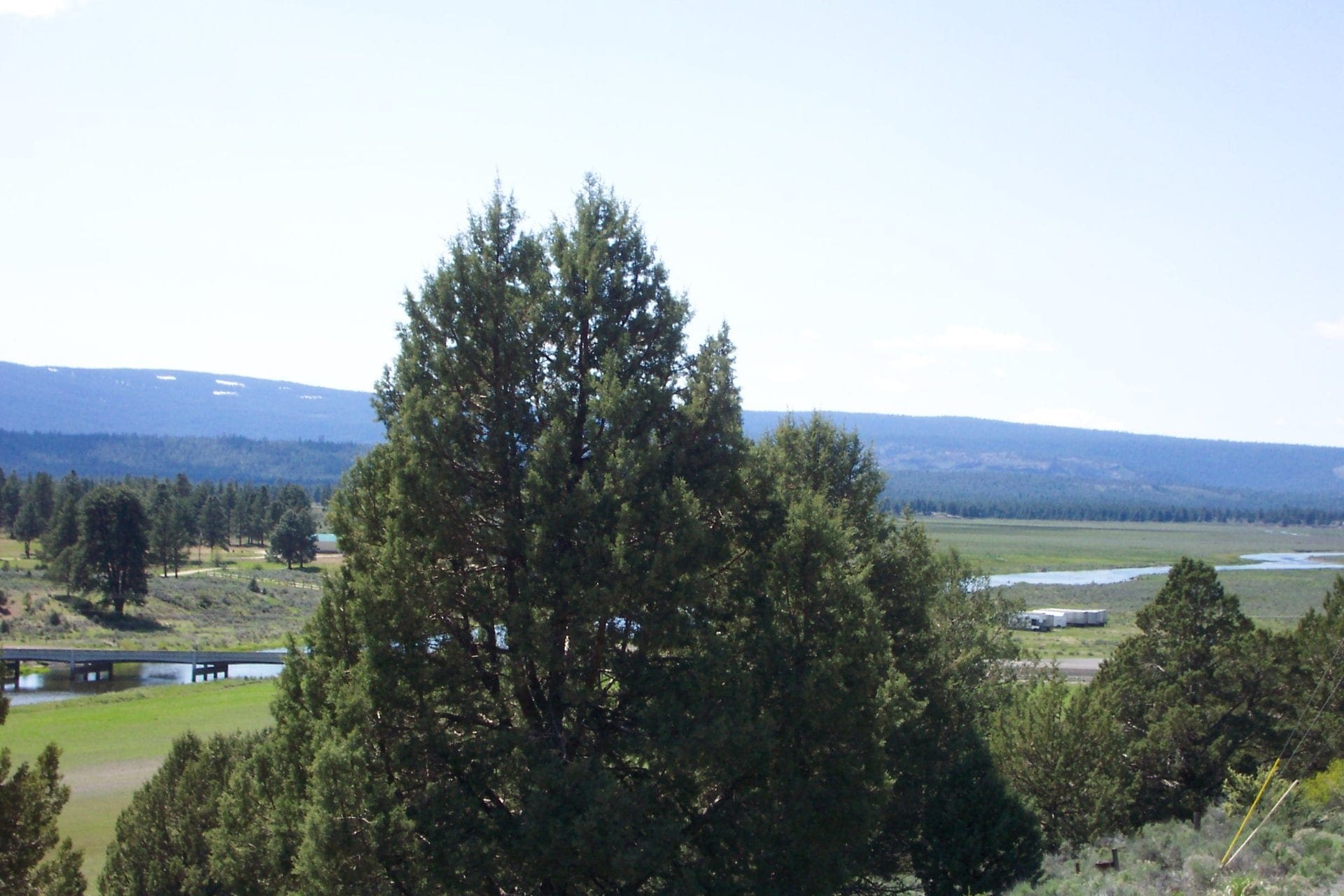 Amazing Sprague River Valley Views! 1.67 Acres in Klamath County, Oregon ~ Treed, Road, Wild Horses! photo 14