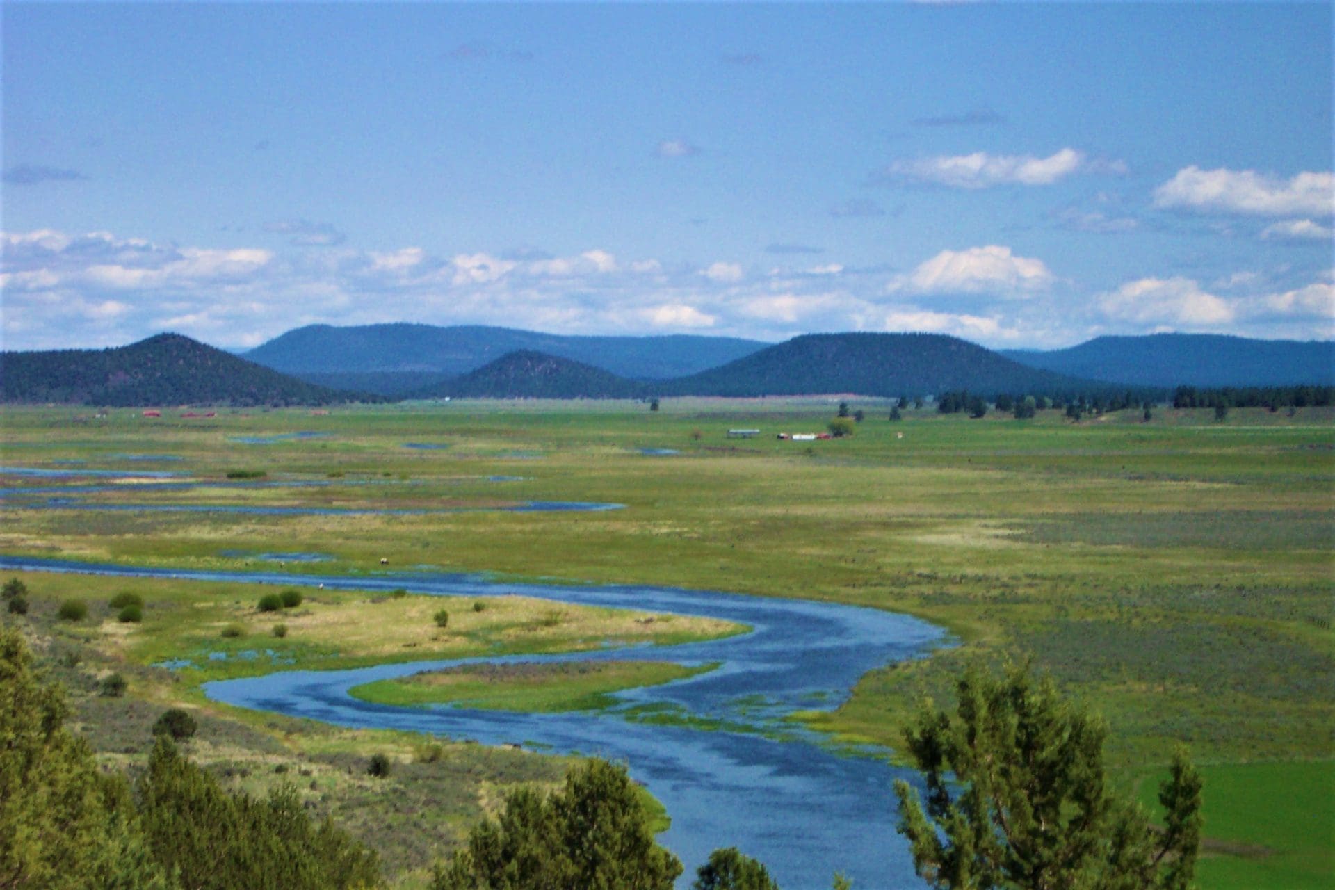 1.49 ACRES~BEAUTIFUL OREGON PINES CORNER PARCEL WITH 360 DEGREE VALLEY AND MOUNTAIN VIEWS. photo 2