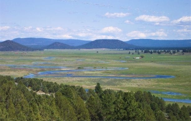 Amazing Sprague River Valley Views! 1.67 Acres in Klamath County, Oregon ~ Treed, Road, Wild Horses!