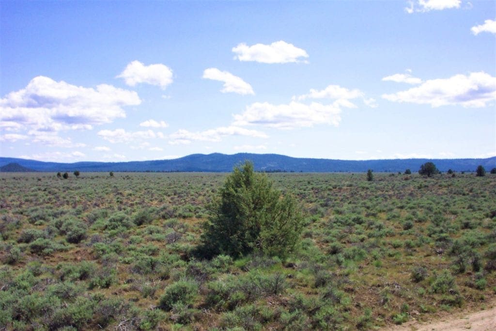 Large view of Amazing Sprague River Valley Views! 1.67 Acres in Klamath County, Oregon ~ Treed, Road, Wild Horses! Photo 10