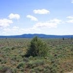 Thumbnail of 1.47 ACRES IN BEAUTIFUL OREGON PINES NEAR CALIFORNIA BORDER ADJOINING LOT AVAILABLE. Photo 6