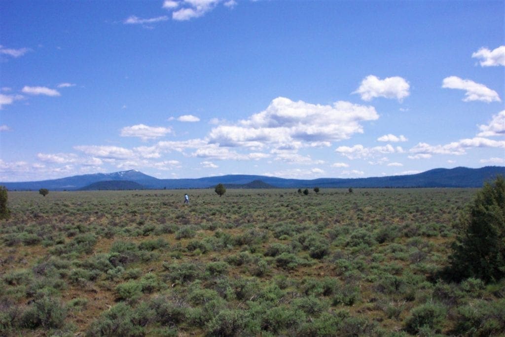 Large view of Amazing Sprague River Valley Views! 1.67 Acres in Klamath County, Oregon ~ Treed, Road, Wild Horses! Photo 20