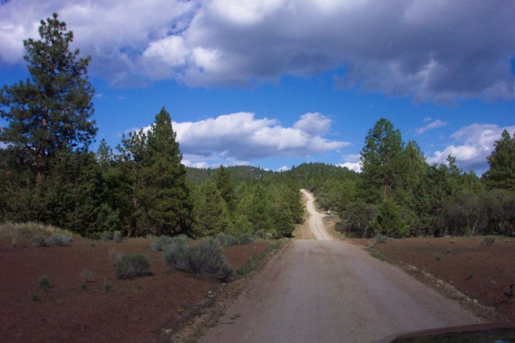 Large view of 4.70 ACRES~GORGEOUS OREGON RANCH LAND LOADED WITH OLD GROWTH TIMBER NEAR CALIFORNIA BORDER Photo 3