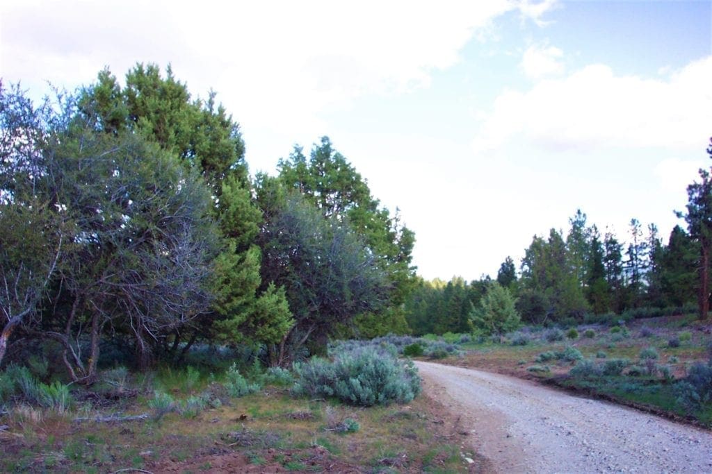 Large view of 2.34 Acre KFFE Highway 66 Unit Acreage with Timber and Buildable. Photo 11