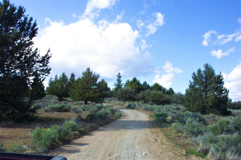 Large view of 2.34 Acre KFFE Highway 66 Unit Acreage with Timber and Buildable. Photo 9