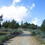 Thumbnail of 2.34 Acre KFFE Highway 66 Unit Acreage with Timber and Buildable. Photo 9