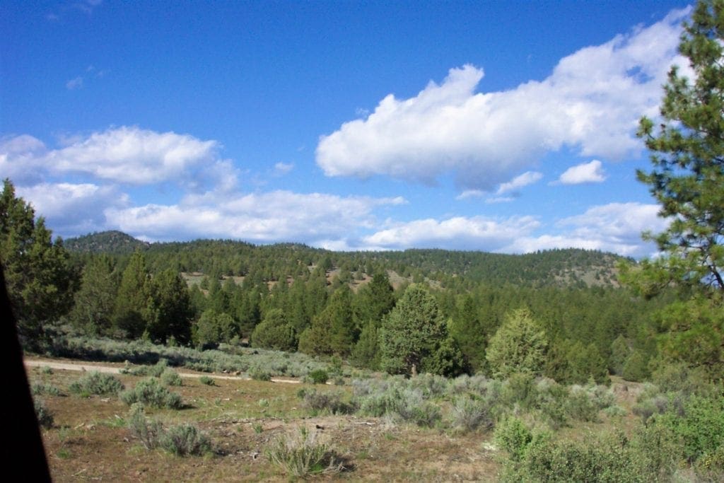 Large view of 2.34 Acre KFFE Highway 66 Unit Acreage with Timber and Buildable. Photo 6