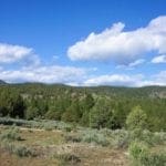 Thumbnail of 2.34 Acre KFFE Highway 66 Unit Acreage with Timber and Buildable. Photo 6