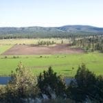 Thumbnail of Amazing Sprague River Valley Views! 1.67 Acres in Klamath County, Oregon ~ Treed, Road, Wild Horses! Photo 19