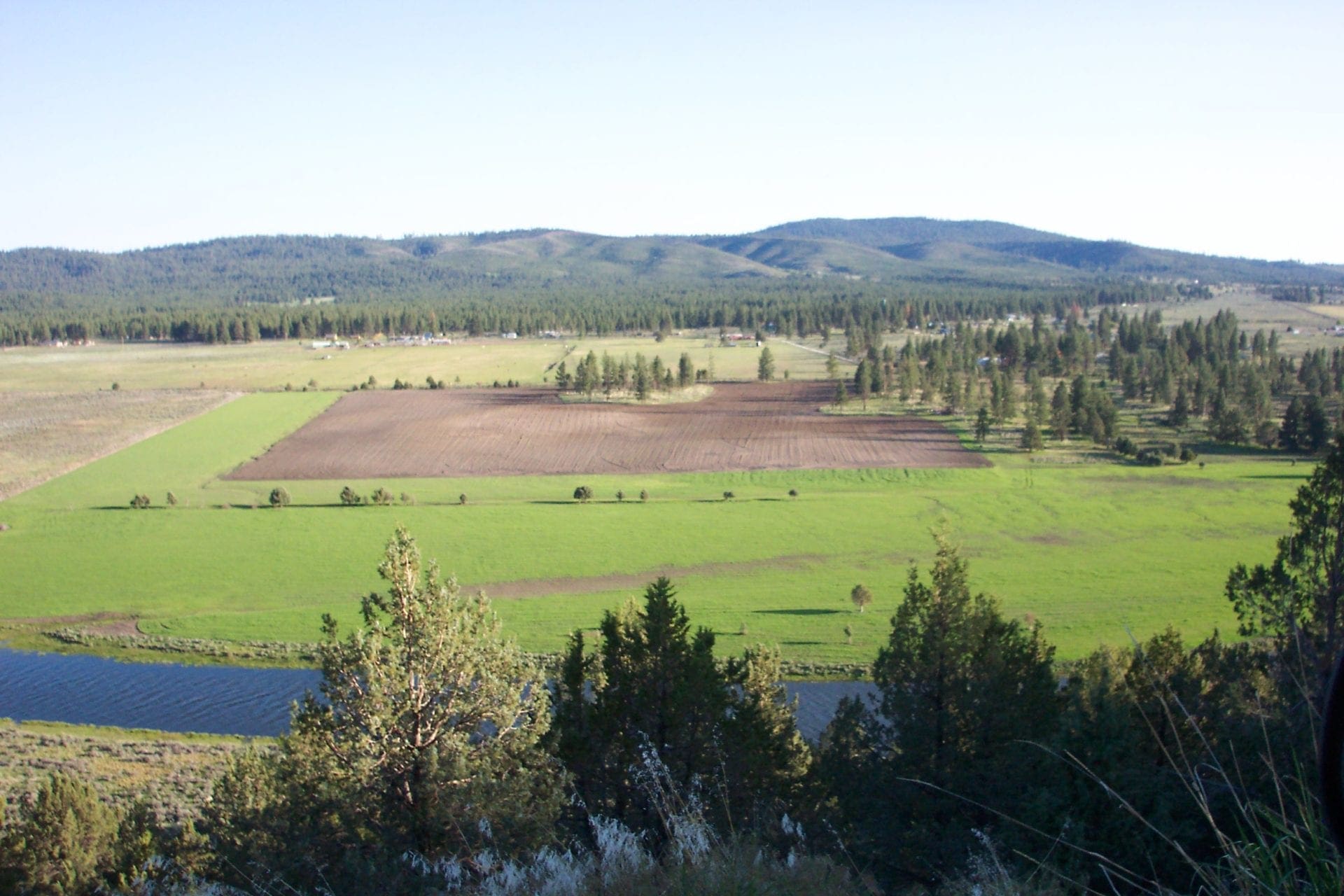 Amazing Sprague River Valley Views! 1.67 Acres in Klamath County, Oregon ~ Treed, Road, Wild Horses! photo 19