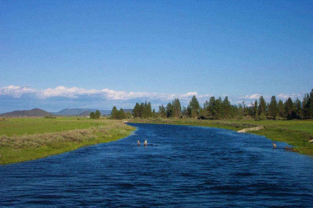Large view of 4.70 ACRES~GORGEOUS OREGON RANCH LAND LOADED WITH OLD GROWTH TIMBER NEAR CALIFORNIA BORDER Photo 4