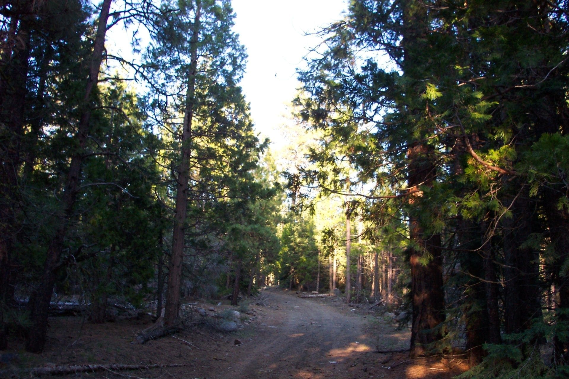 2.34 Acre KFFE Highway 66 Unit Acreage with Timber and Buildable. photo 3