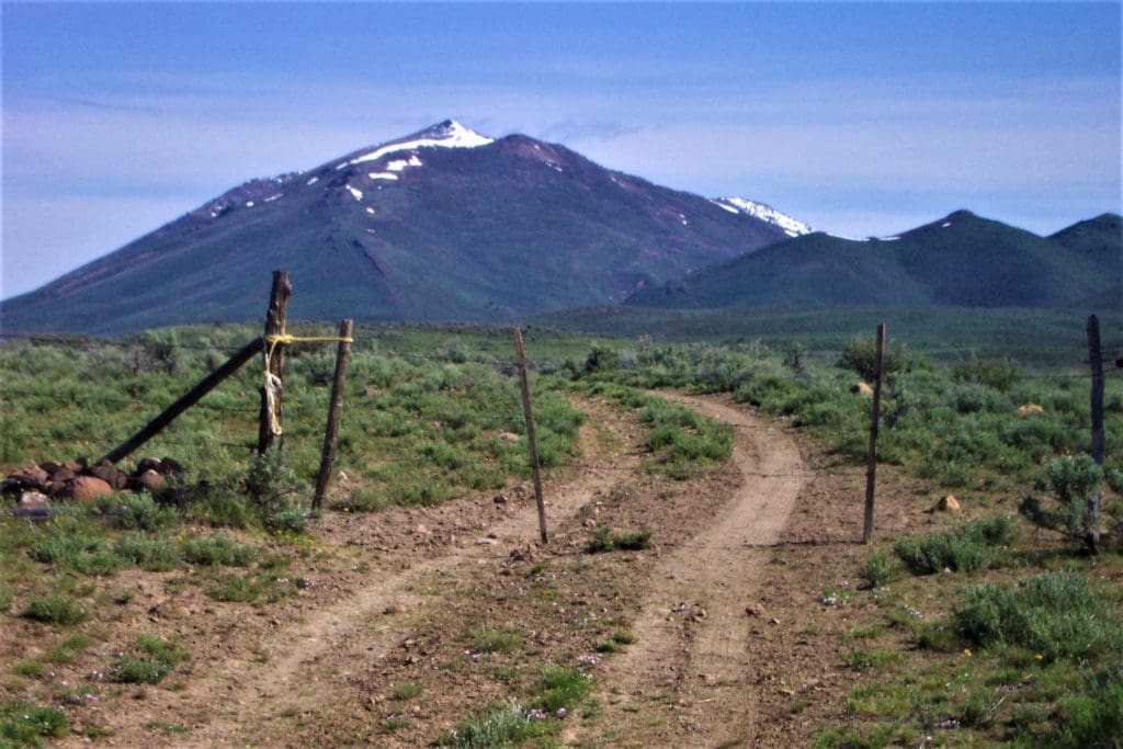 Large view of WYOMING MINING DISTRICT, SUR 37A PATENT NO 12937, “MARDIS MINE”/DIAMOND JIM MINE, Rosebud Mtn 8167 Ft Inside Humboldt Nat. Forest. Photo 34