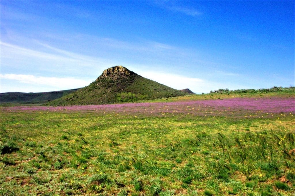 Large view of 5.00 Acres in Beautiful White Pine County with Spectacular Diamond Range Views & Adjacent to Alfalfa Fields in Eastern Nevada Photo 4