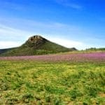 Thumbnail of 5.00 Acres in Beautiful White Pine County with Spectacular Diamond Range Views & Adjacent to Alfalfa Fields in Eastern Nevada Photo 4