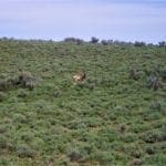 Thumbnail of Very Rare Great Building Lot in Wild Horse, NV! Only 1 Mile from Reservoir! Photo 25