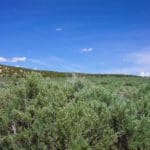 Thumbnail of 1.290 ACRES IN ELKO COUNTY, NEVADA WITH VIEWS OF CITY LIGHTS AND RIVER VALLEY. Photo 7