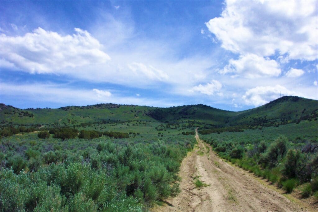 Large view of 2.27 ACRES IN SPRING CREEK/ELKO, NEVADA – TREED WITH ROAD – NEAR ELKO & RUBY MOUNTAINS Photo 2