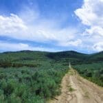Thumbnail of 2.27 ACRES IN SPRING CREEK/ELKO, NEVADA – TREED WITH ROAD – NEAR ELKO & RUBY MOUNTAINS Photo 2