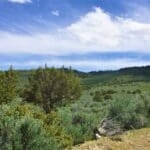 Thumbnail of 40.00 HUGE TIMBERED ACRES ON THE MOUNTAIN FEET FROM THE UTAH BORDER ADJOINING PUBLIC LANDS WITH MAJOR ELK & DEER GAME TRAIL THROUGH PROPERTY IN ELKO COUNTY, NEVADA Photo 4