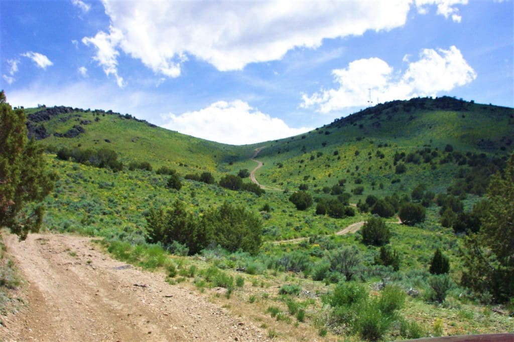 Large view of 6 LOTS IN THE OLD HISTORIC TOWN OF CHERRY CREEK, NEVADA ~ TREED, POWER, ROAD AND MILLION DOLLAR VIEWS Photo 4