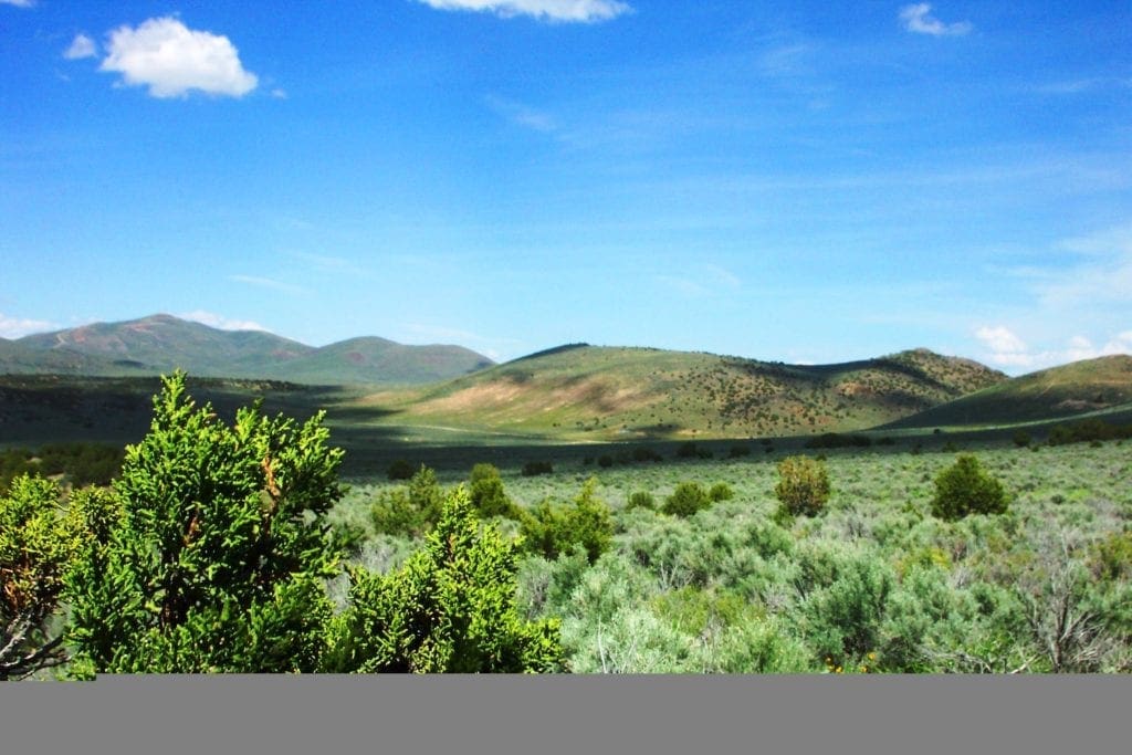 Large view of 80.00 Treed Acres in Northeast Nevada near Carlin & Elko with Seasonal Stream & Tons of Wildlife Photo 4