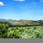 Thumbnail of 80.00 Treed Acres in Northeast Nevada near Carlin & Elko with Seasonal Stream & Tons of Wildlife Photo 4
