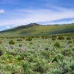 Thumbnail of 6 LOTS IN THE OLD HISTORIC TOWN OF CHERRY CREEK, NEVADA ~ TREED, POWER, ROAD AND MILLION DOLLAR VIEWS Photo 5