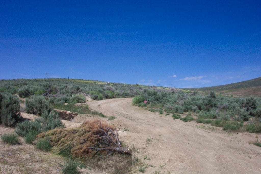 Large view of 80.00 Treed Acres in Northeast Nevada near Carlin & Elko with Seasonal Stream & Tons of Wildlife Photo 6