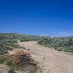 Thumbnail of 80.00 Treed Acres in Northeast Nevada near Carlin & Elko with Seasonal Stream & Tons of Wildlife Photo 6