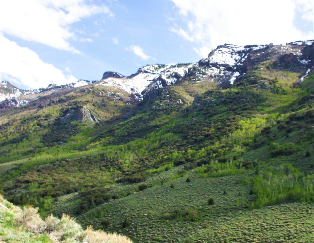 Large view of 20 Acre Patented Mining Claim “Hawkeye” Pat# 39511 in the Mighty Schell Creek Range Eastern Nevada Photo 15