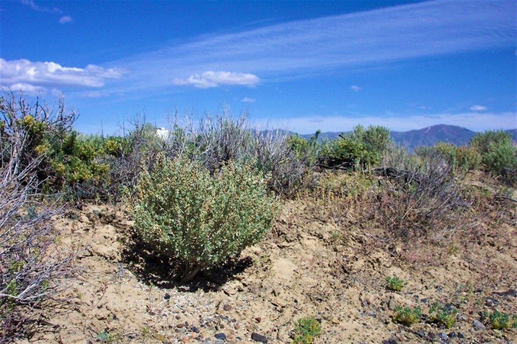 Large view of Great location to Escape City Life in Central Nevada 2 Adjoining Lots for sale Near Town Photo 3