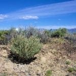 Thumbnail of Huge Building Lot! 8.60 Acres South East Of Crescent Valley, Nevada with Amazing Views! Photo 1
