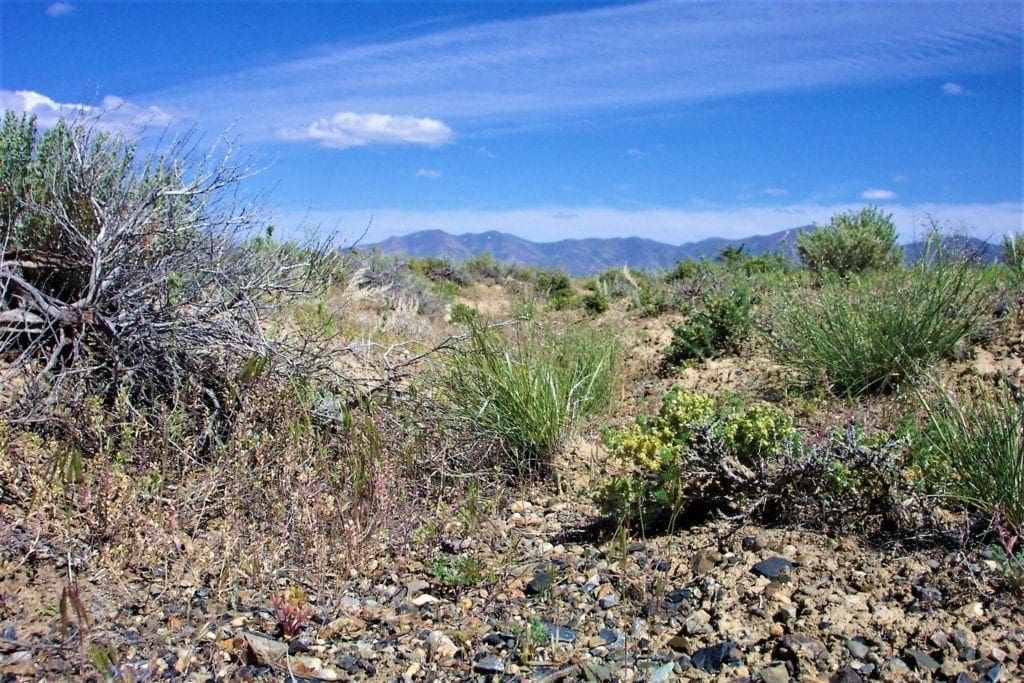 Large view of Great location to Escape City Life in Central Nevada 2 Adjoining Lots for sale Near Town Photo 5