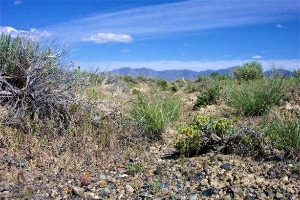 Huge Building Lot! 8.60 Acres South East Of Crescent Valley, Nevada with Amazing Views! photo 6