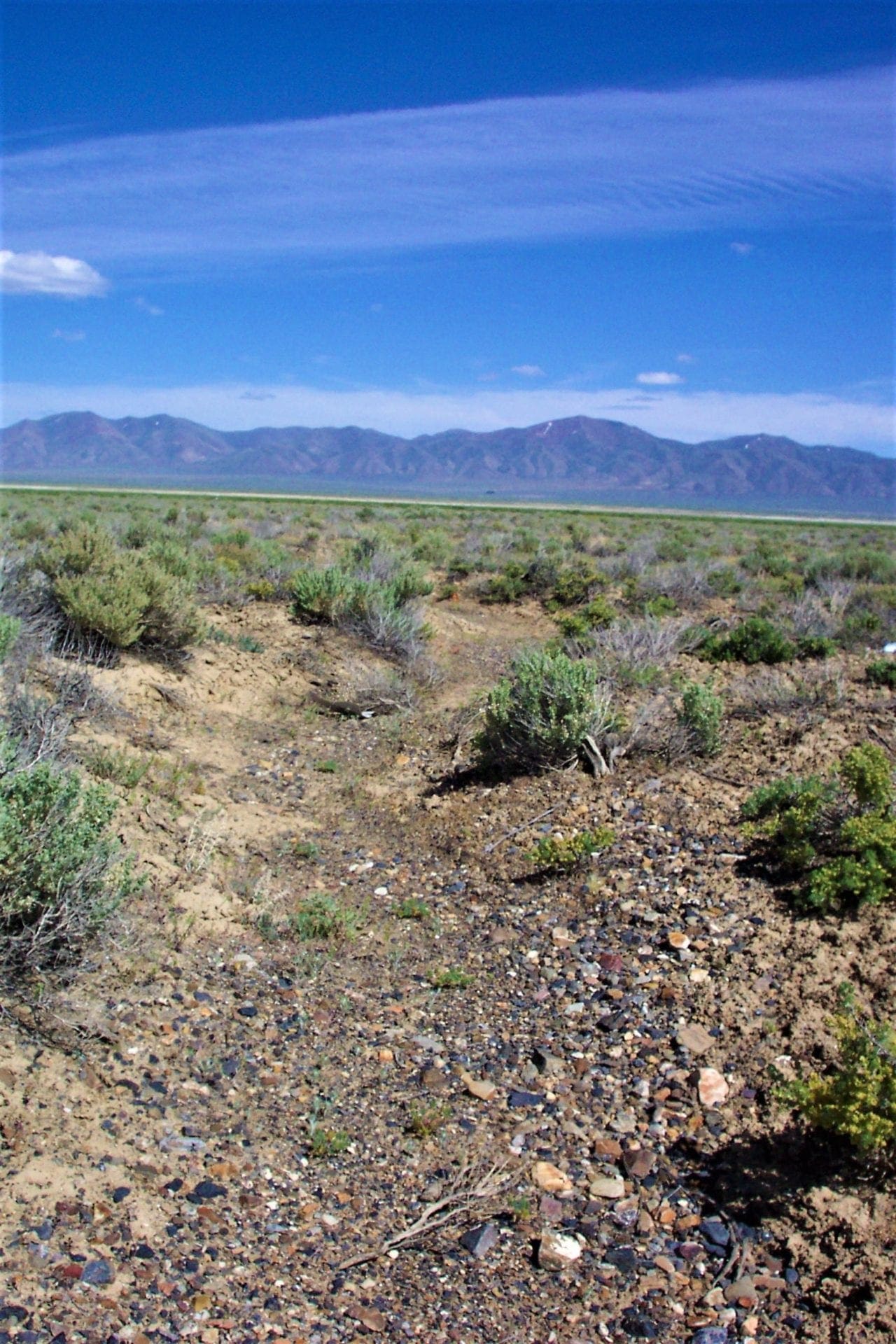 Great location to Escape City Life in Central Nevada 2 Adjoining Lots for sale Near Town photo 7